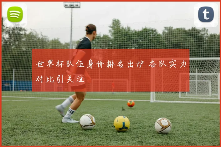 世界杯队伍身价排名出炉 各队实力对比引关注
