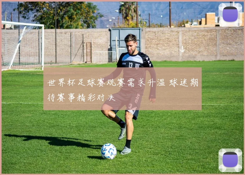 世界杯足球赛观赛需求升温 球迷期待赛事精彩对决
