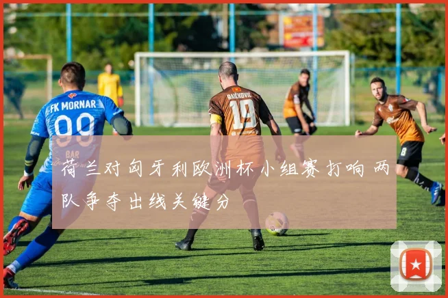 荷兰对匈牙利欧洲杯小组赛打响 两队争夺出线关键分