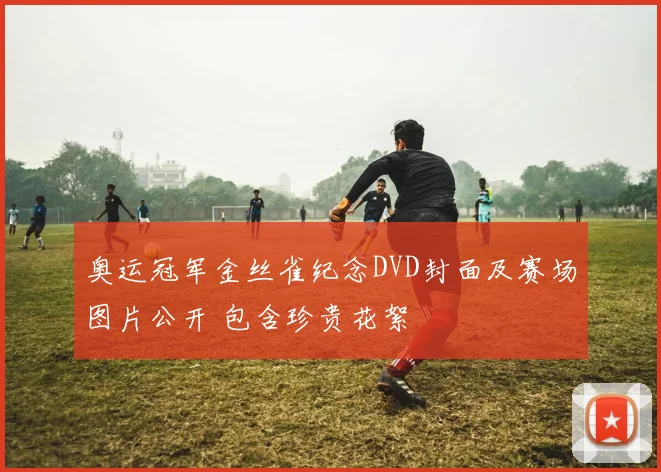 奥运冠军金丝雀纪念DVD封面及赛场图片公开 包含珍贵花絮