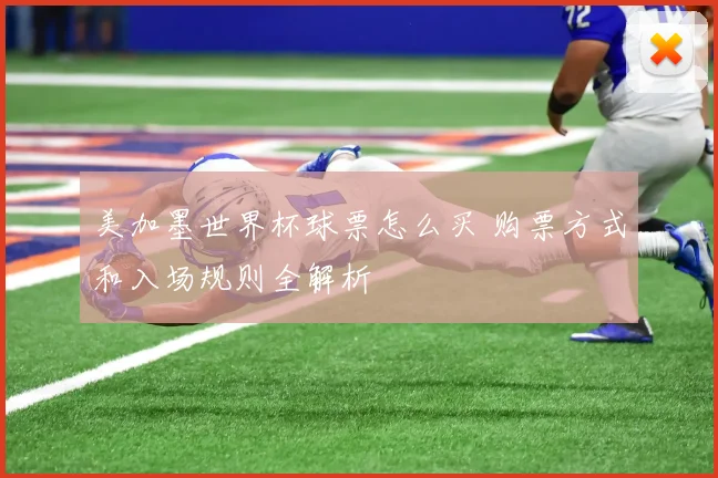 美加墨世界杯球票怎么买 购票方式和入场规则全解析