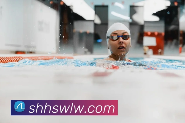 milan登录入口平台生态图